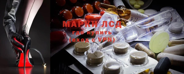 крисы Алзамай