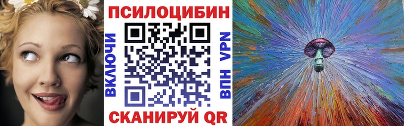 ссылка на мегу купить закладку Гурьевск Псилоцибиновые грибы Psilocybe