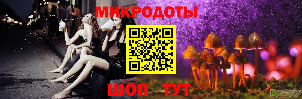 Галлюциногенные грибы Psilocybine cubensis Гурьевск