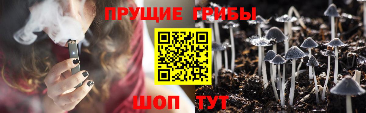 Галлюциногенные грибы мицелий  Вход с VPN  Гурьевск 